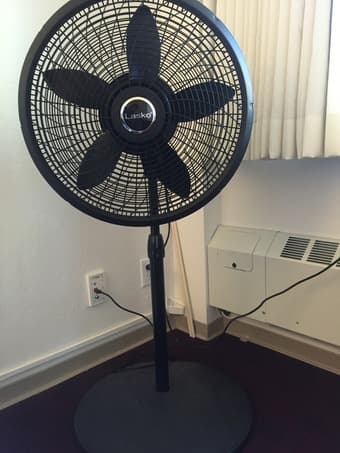 Fan @ $15 1