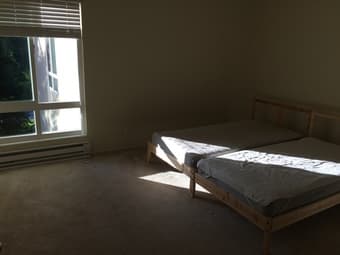 Twin mattresses + bed frames $40 each 1