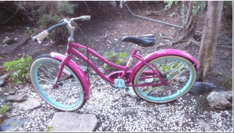 Woman bike for free 1