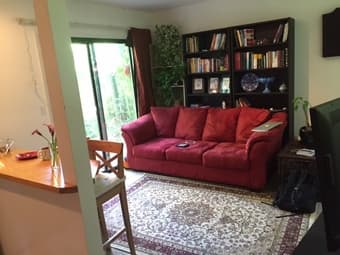 Beautiful cottage, 5 minute walk to university avenue 3