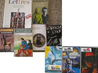 Communication, Journalism, Humanities... in French and English 3