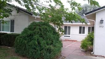 $1475 Furnished room near downtown Mountain view - Walk to castro stre 1