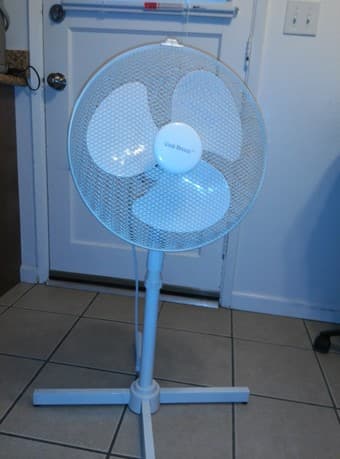 $15_Fan 1