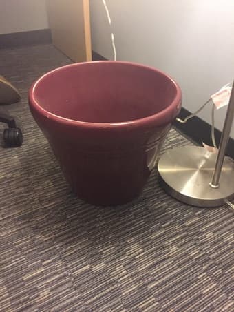 Free Plant Pot 1