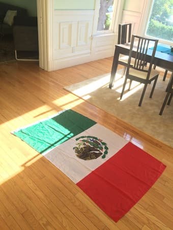Forest tapestry, yoga mat, lamp, Mexican flag, muscle roller, more! 3