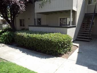 $1095  - 800ft2 - Master bedroom in 2bd1ba in gated Fremont community 1