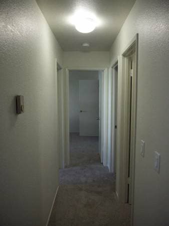 $1095  - 800ft2 - Master bedroom in 2bd1ba in gated Fremont community 3