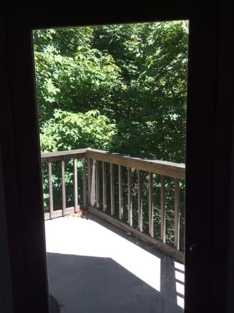 OFFERED: 10/01 Sunrise Room Surrounded by Nature in Beautiful La Honda 3