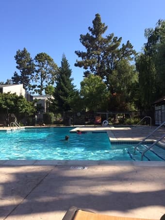$1400 1B/1B in a 2B/2B apartment in Mountain View 1