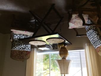 $1,000 - Furnished Room in Los Altos!  Nov 1 thru Dec 8 --- 3