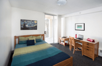 Large 1 Bedroom - 2 BR flex apartment available Nov. 19 - Nov. 27 2