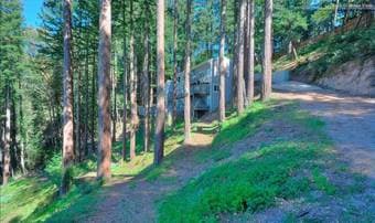 $1800 - Open bedroom and private bath in Nature Oasis in Woodside 3