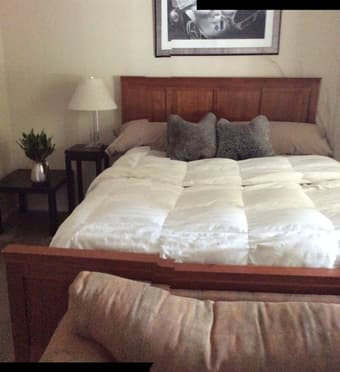 Furnished Room in Los Altos Apartment ! $900 1