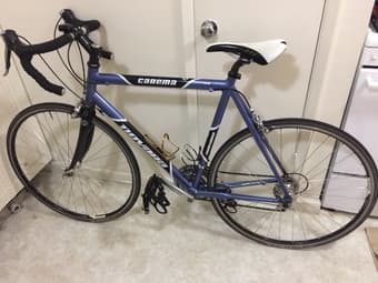 21 Speed Novara Road Bike down to $380 OBO 1