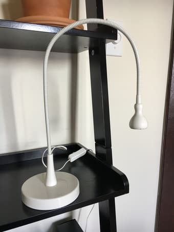 IKEA office chair ($30) and lamp ($7) 1