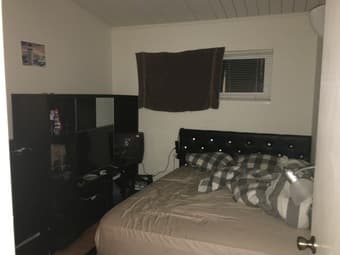 $1100 Room in Palo Alto Available Dec 1 1