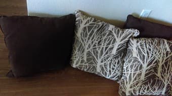 Couch / Sofa Pillows- Cheap! 2