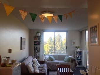 EV 1 BR apartment sublet - December 15 / January 10 1