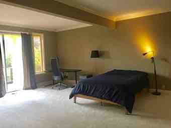 400 Sq Ft Sunny, Furnished Bedroom in Mansion w/ Pool & Terrace! 3