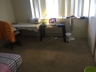 Nice room renting from 12.10.2016-01.08.2017 (Mountain View) 1