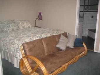 $1650 / 400ft2 - Avail 11/23 furn master bedroom overlooking pool 1