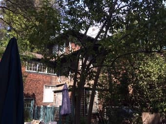 $950 Room for sublet December-Januari, 5 min from Stanford 2