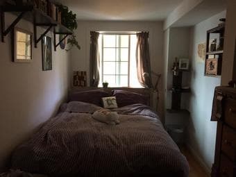 1 master bedroom, shared flat, sublet or rent Dec 1 (San Francisco) 1