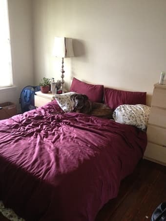 full/queen duvet set - $20 1