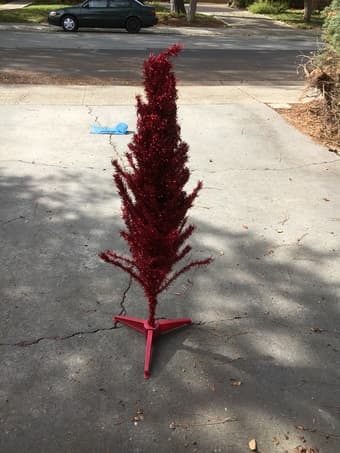 Christmas tree - $5 1