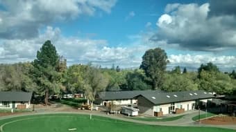 1 month Single or Couple Premium Studio sublet. Dates:12/8/16 -1/9/17 1