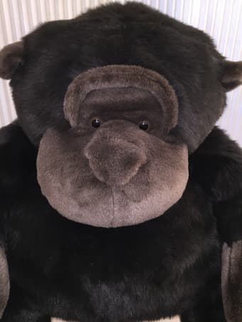 FAO Schwarz adorable 25" gorilla plush toy ($50 OBO) 1