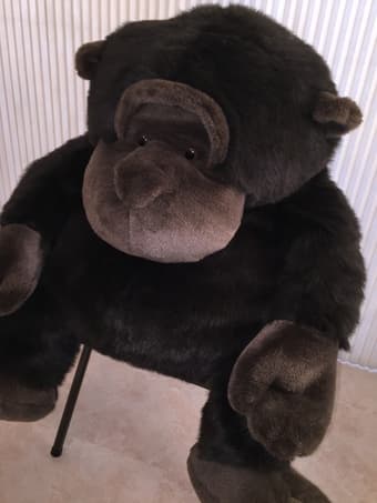 FAO Schwarz adorable 25" gorilla plush toy ($50 OBO) 2