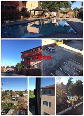 San Antonio Shopping Center 附近卧室和客厅即日起招租[Mountain View] 3