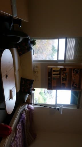 suspacious studio, dec 19th to Jan 8th 3
