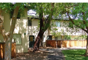 ***SUNNY ROOM IN 3BR AVAILABLE FOR DEC/JAN. ON CAMPUS - SEE TODAY*** 3