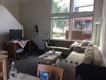 Loft on campus for short sublet, 17 Dec.- Jan.1, 60$ per day, 1