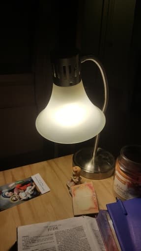 Desk Lamps (menlo park) 2