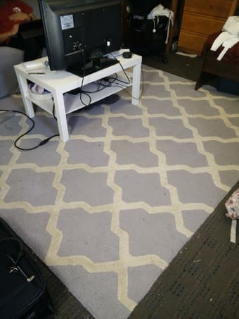 Blue and white area rug, ~8x10ft 1