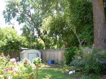 Room close to California Ave Caltrain Station 3