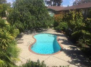 Looking for female roommate in large 2br apartment in Palo Alto 1