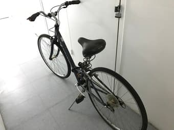 Schwinn step-through frame S 1