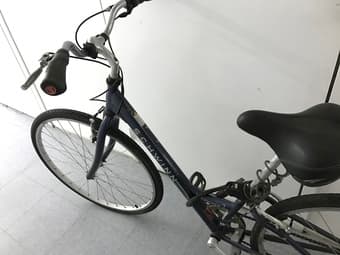Schwinn step-through frame S 2