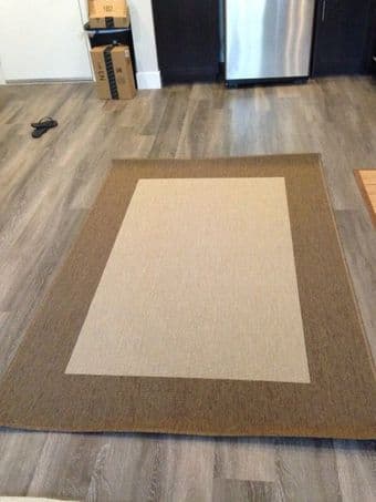 Pottery Barn rug 1