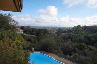 Sunny Bedroom Available - Share with Kindly Roommates in Bold Mansion! 2