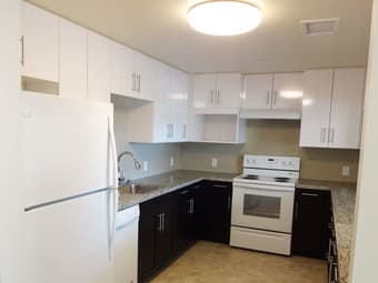 Room in 2b2b apartment in Cal Ave $1800/month 3