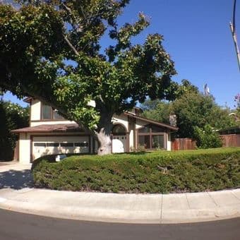 Beautiful house with young professionals. 20 min biking to Stanford! 1