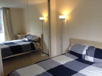 furnished bedroom in 2bed/1ba apt near San Antonio in Mountain View 2