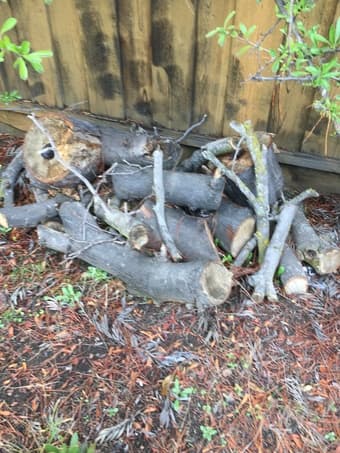 Fireplace wood for sale $10 1