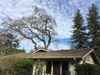 Menlo Park 獨立屋 Single House 房間出租 room for rent 1