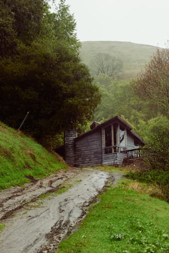 Home in the Woods (Room) 3